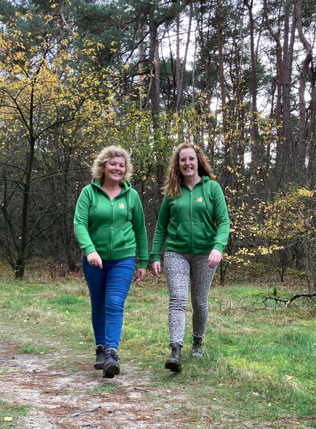 Netwerkwandeling bij zonsopkomst - Diever