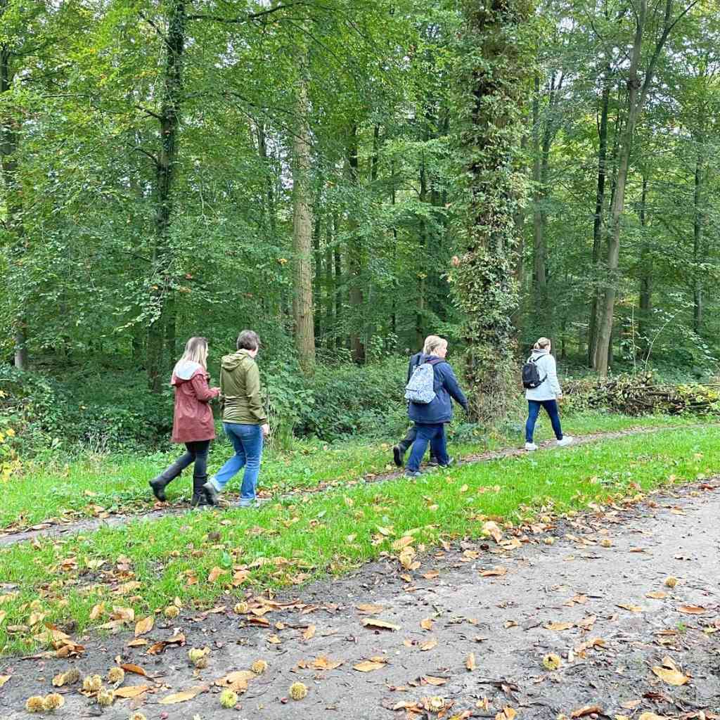 Netwerken in Bergen op Zoom - Netwerkwandeling zelfstandige ondernemers- Zuurstofwandeling