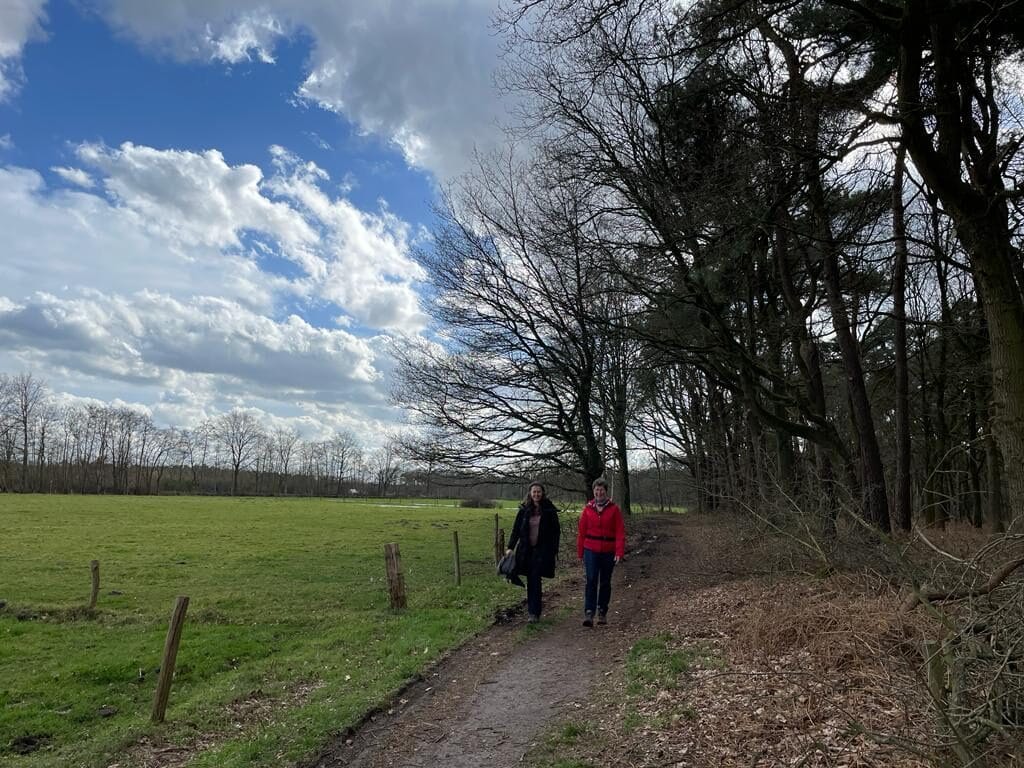 netwerkwandeling-netwerk agenda nederland