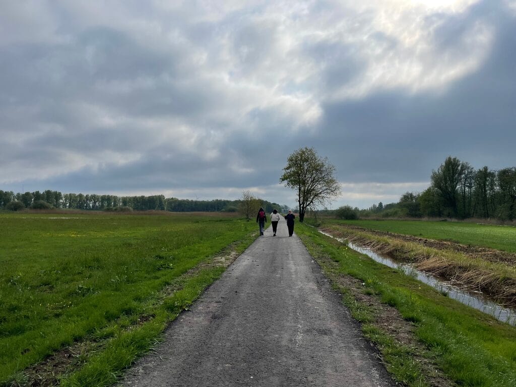 netwerkwandeling-netwerk agenda nederland