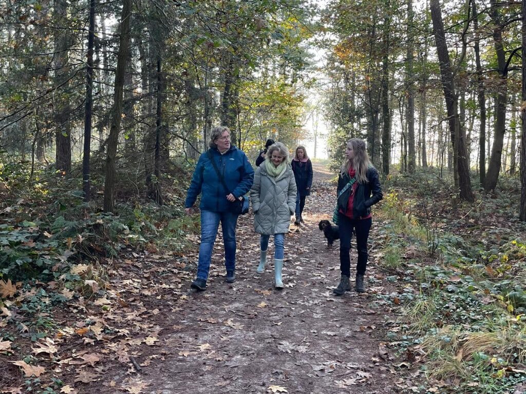 Netwerkwandeling – Biesbosch, Dordrecht