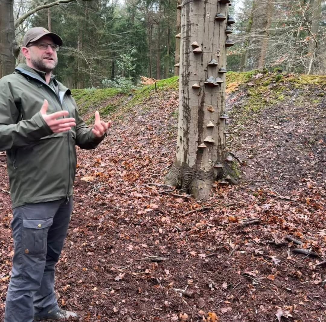 Netwerken in het bos met met bomenexpert - Meppel