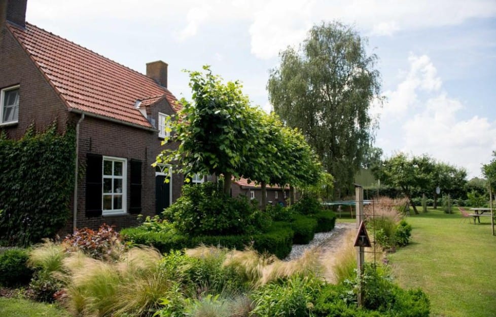 Workshop Van Idee Naar Actie voor Ondernemers - Herpen (regio Oss)