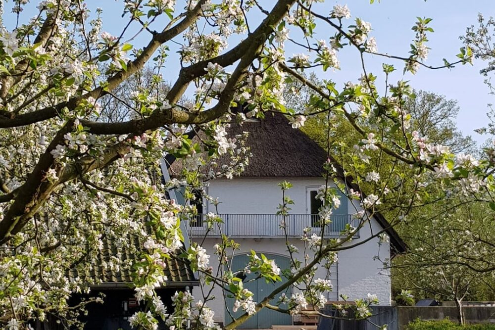 Locatie huren voor workshop-Betuwe-Netwerk Agenda Nederland