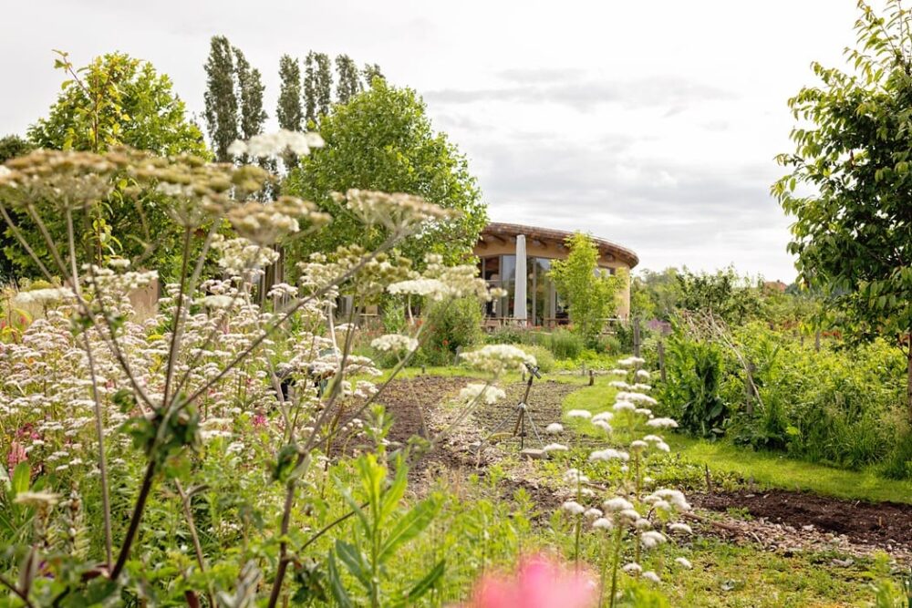 Kiemkracht64 Malden Tuin - Netwerk Agenda Nederland