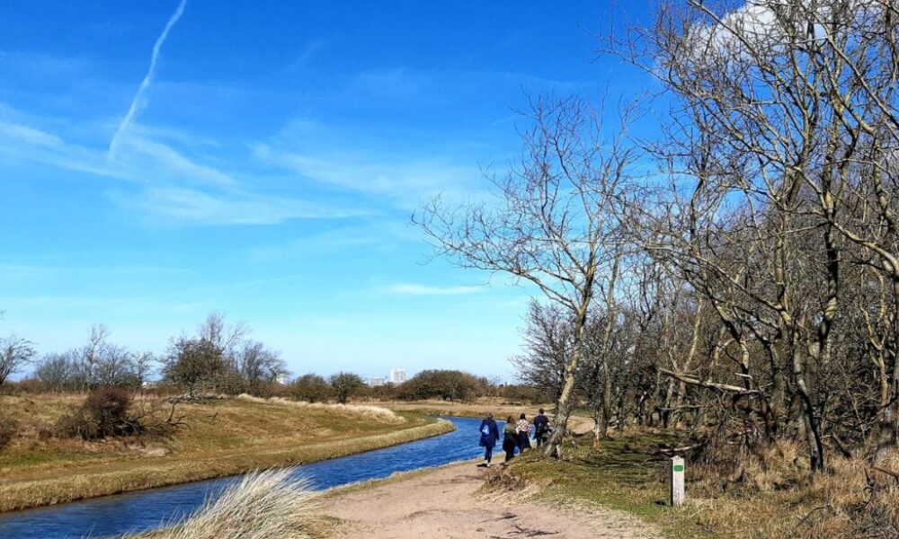 Netwerkwandeling in Noord-Holland voor zzp'ers - Zandvoort