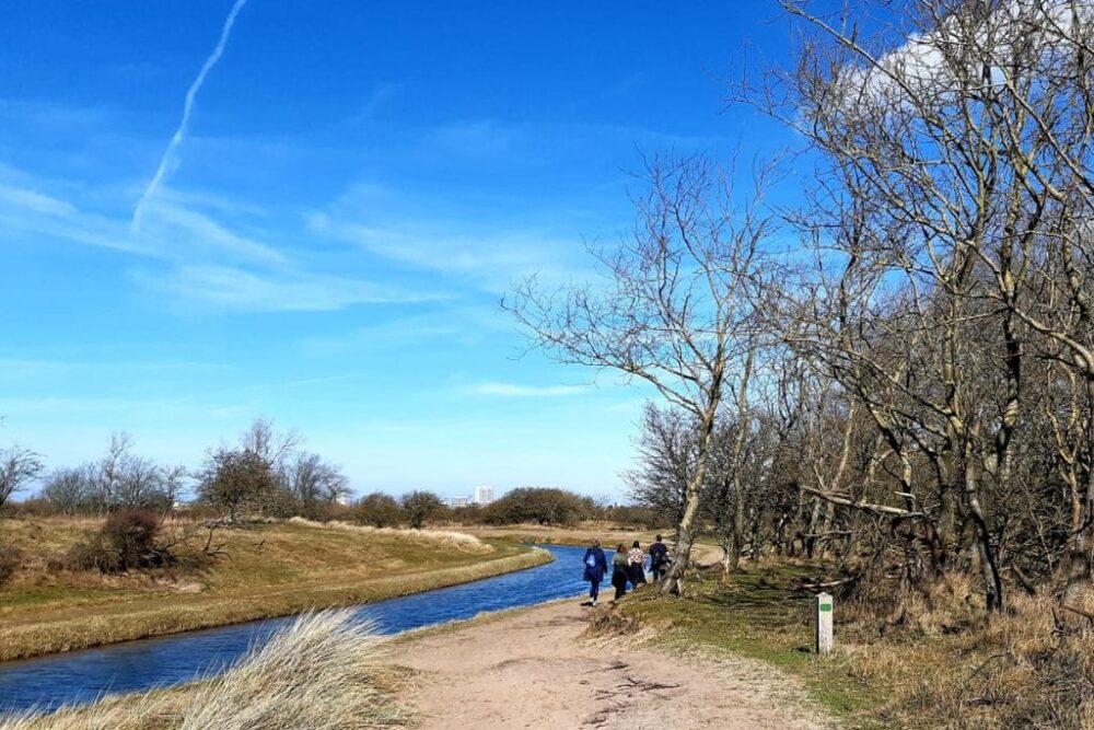 Netwerkwandeling in Noord-Holland voor zzp'ers - Zandvoort