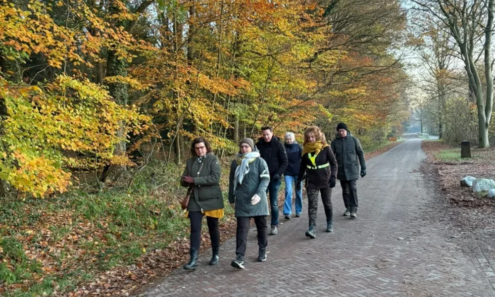 wandeln-high